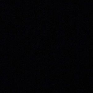 Meet your Posher, Daniella